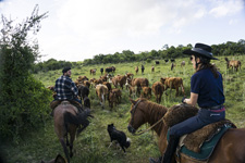 Uruguay-Uruguay-Laguna Negra Estancias Ride